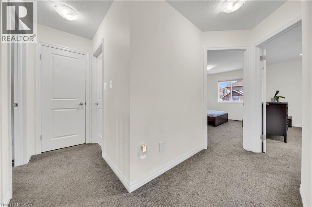 433 TWINLEAF Street thumbnail 29