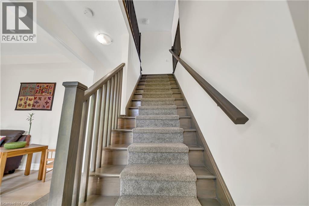 433 TWINLEAF Street thumbnail 25