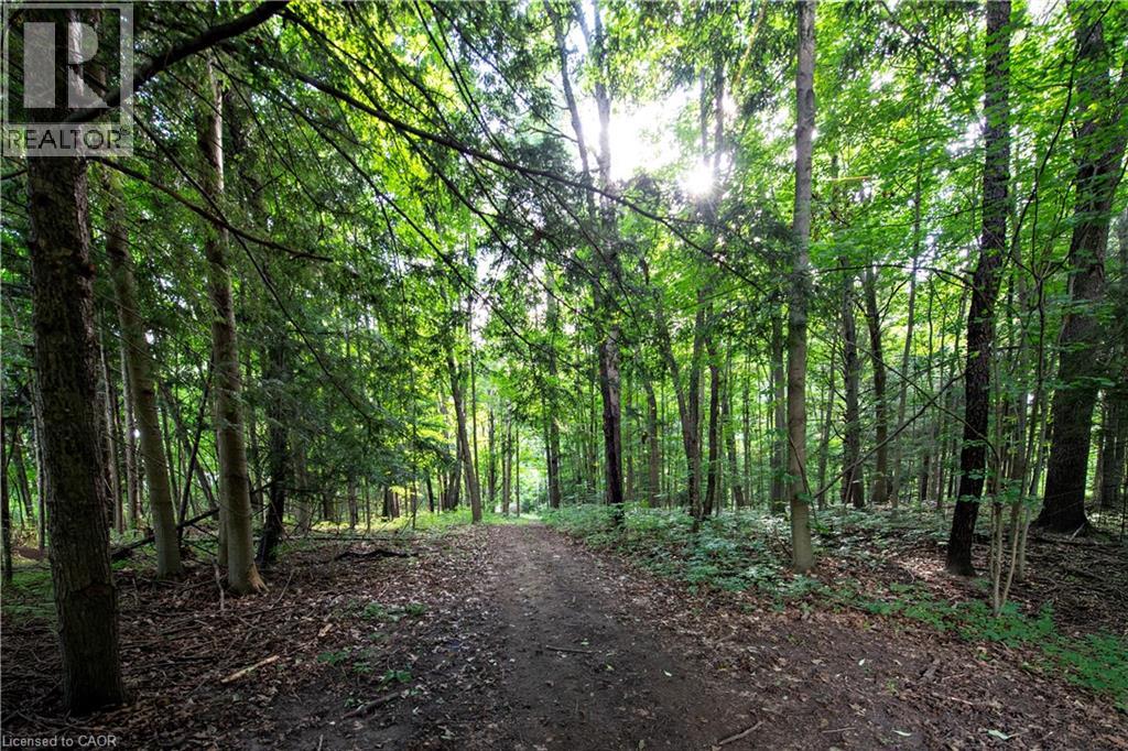 1857 HOPEWELL CREEK Road thumbnail 22