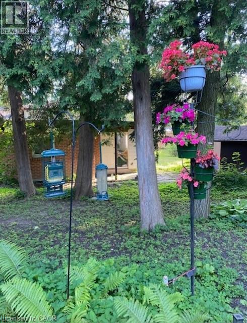 543 BOX GROVE Place thumbnail 39