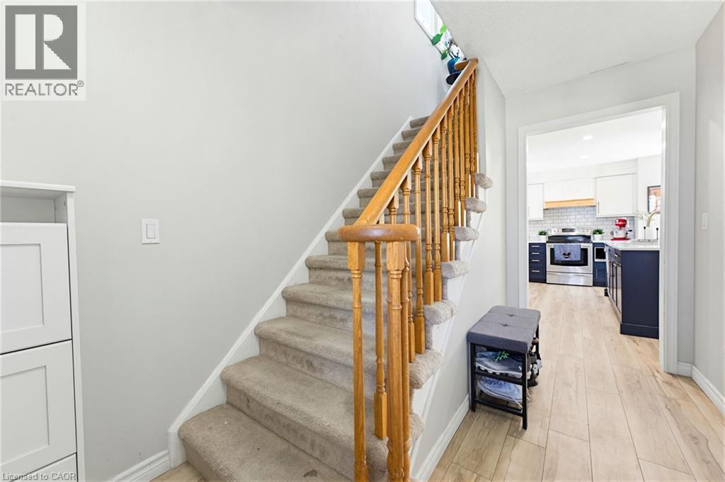219 INGLIS Street thumbnail 16