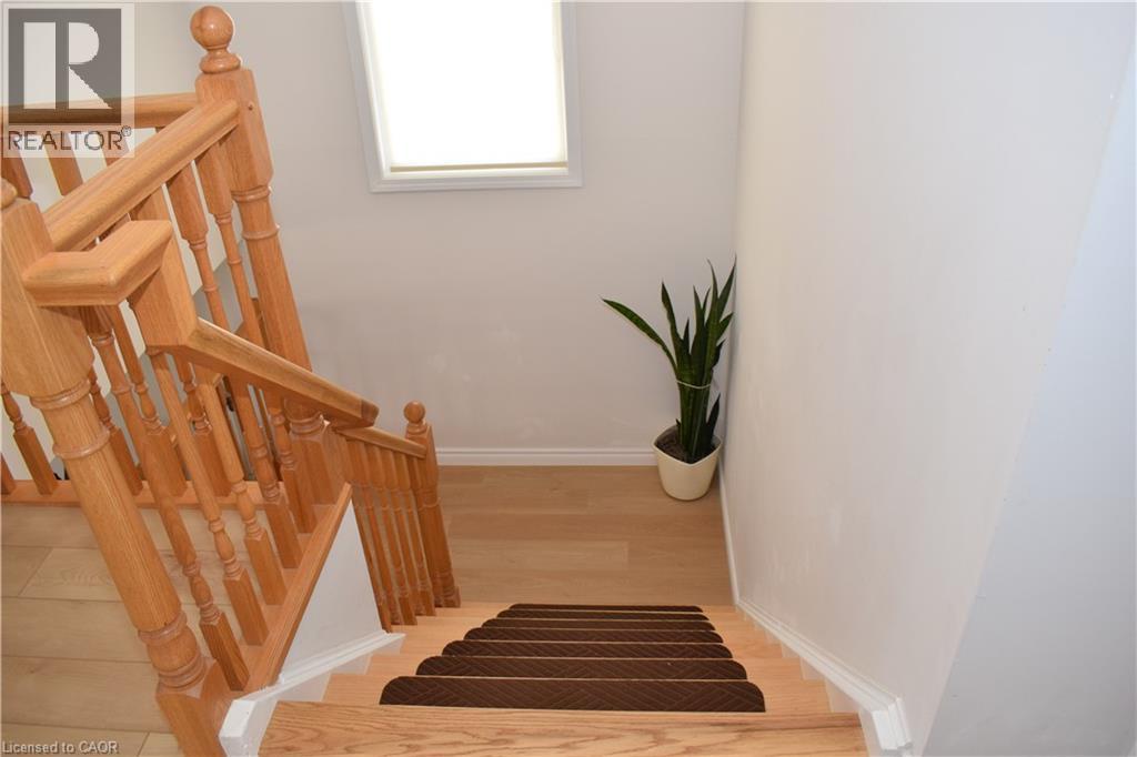 28 LEMON GRASS Street thumbnail 19