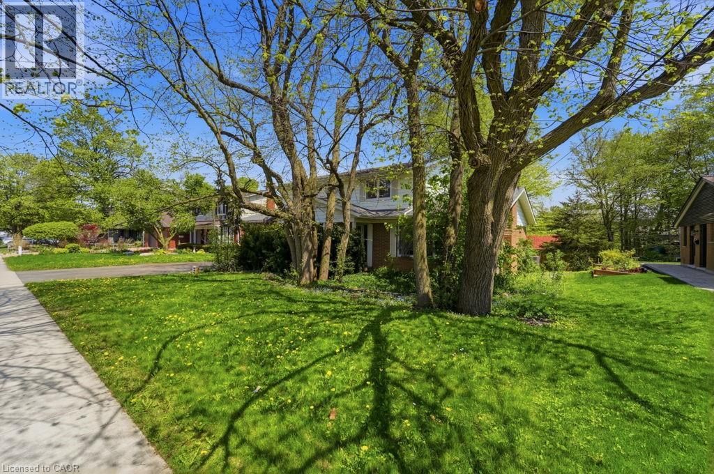 46 BIRCHCLIFF Avenue thumbnail 4