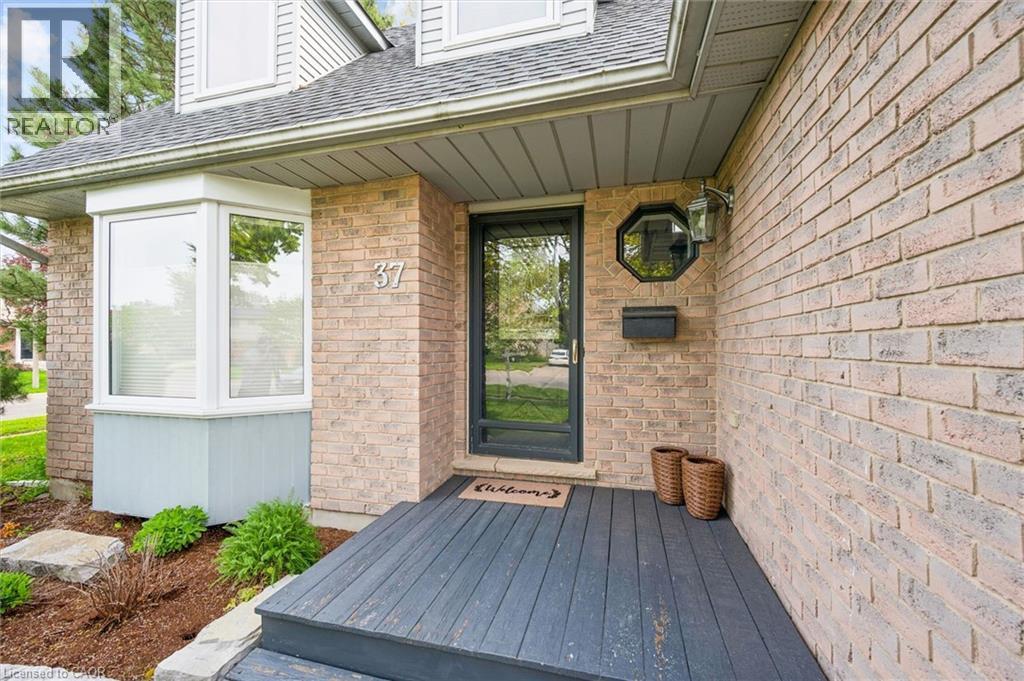 37 ENFIELD Drive thumbnail 5