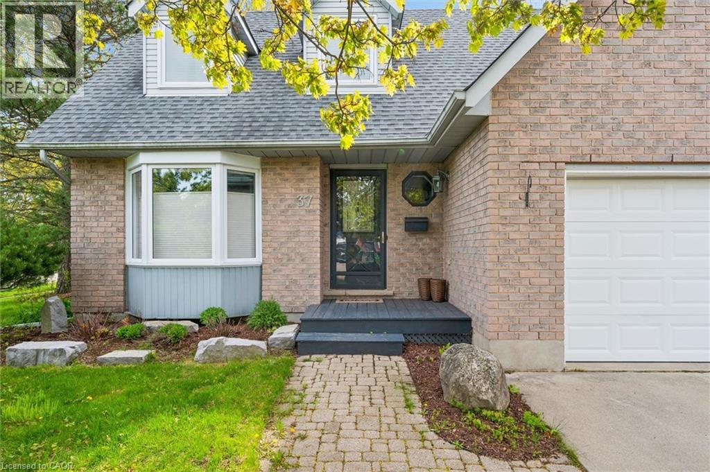 37 ENFIELD Drive thumbnail 4
