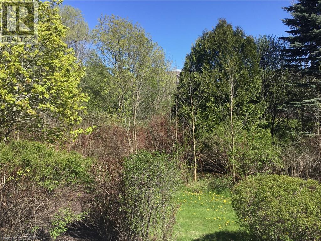 496 BEECHWOOD Drive Unit# 1 thumbnail 4