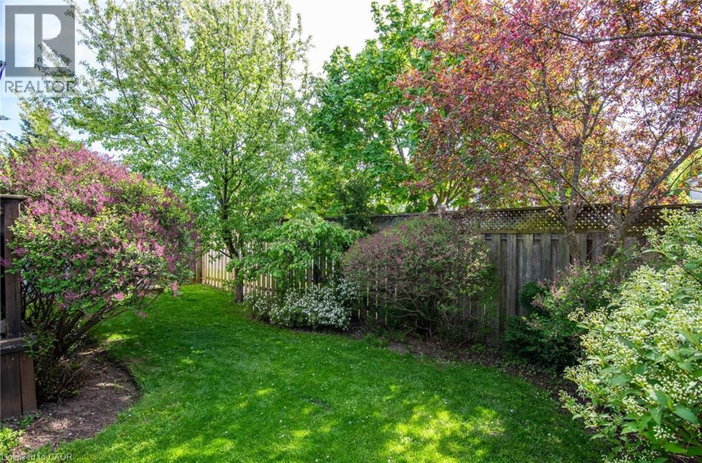 31 ADLER Drive thumbnail 45