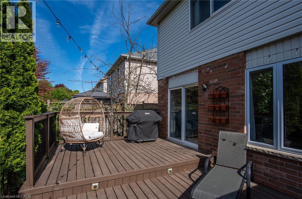 31 ADLER Drive thumbnail 43