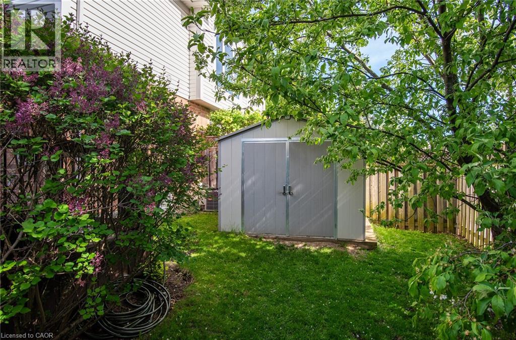 31 ADLER Drive thumbnail 46