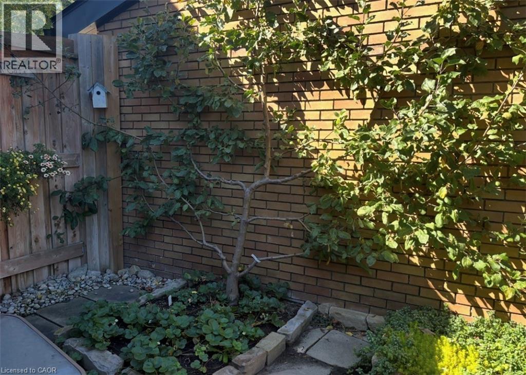 296 WEBER Street E thumbnail 41
