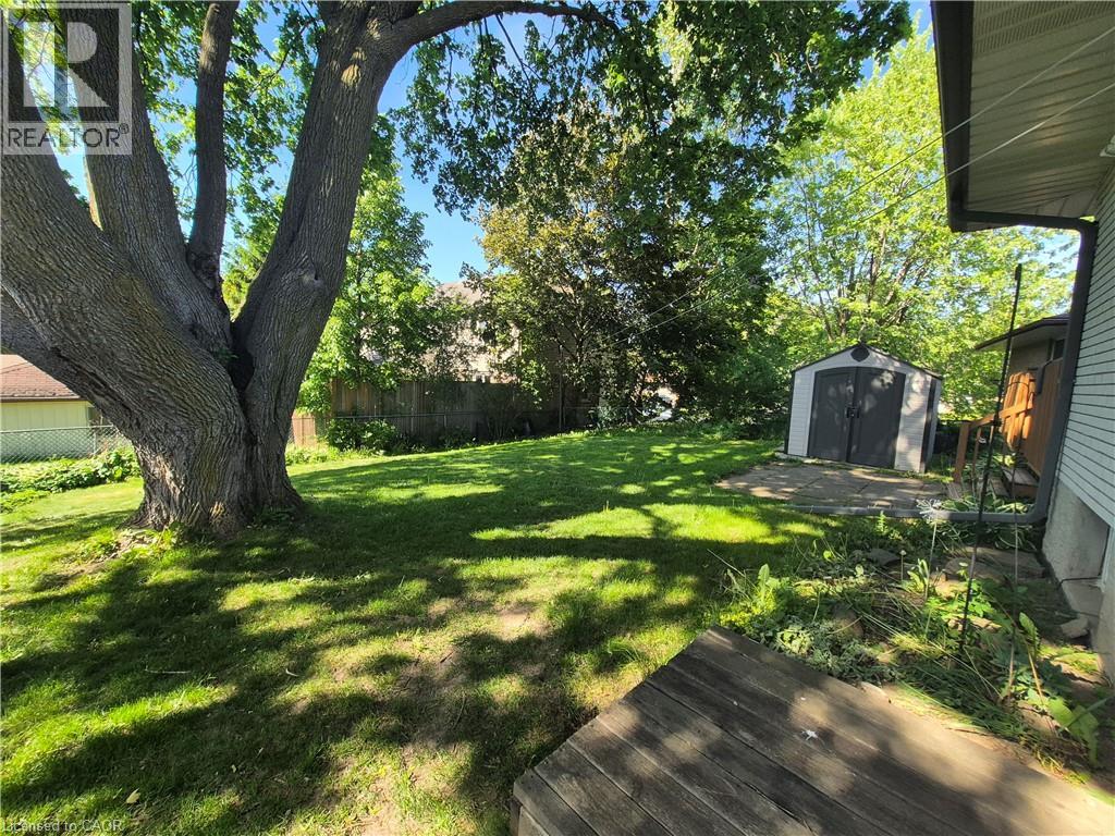 11 DUNCAIRN Avenue thumbnail 23