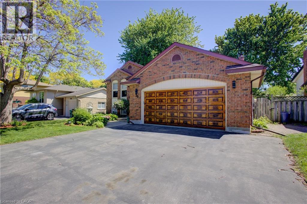 36 WESTCHESTER Drive thumbnail 3