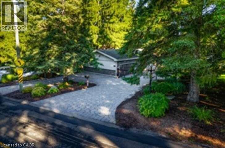 527 RIVER Road thumbnail 6