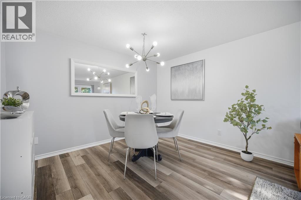 10 RISTAU Crescent thumbnail 11