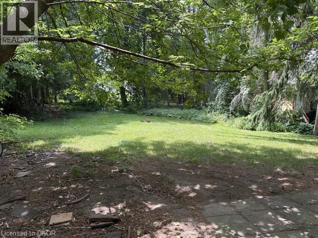 391 LAWRENCE Avenue thumbnail 5
