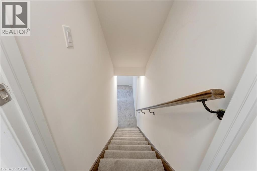 8 ROYWOOD Street thumbnail 37