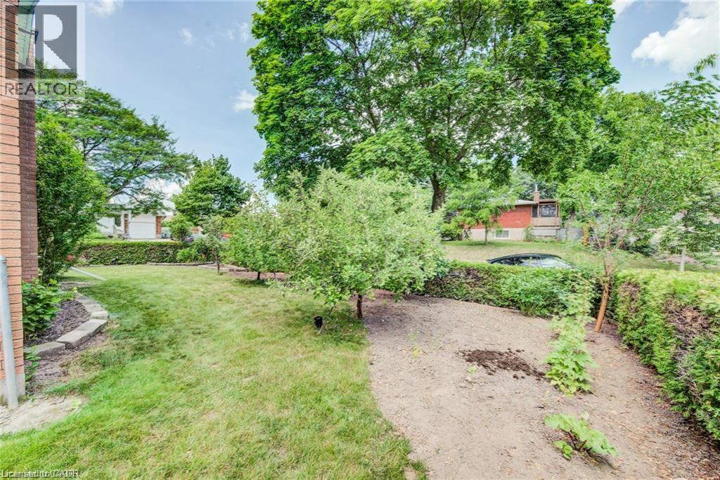 602 HIGHPOINT Avenue thumbnail 36