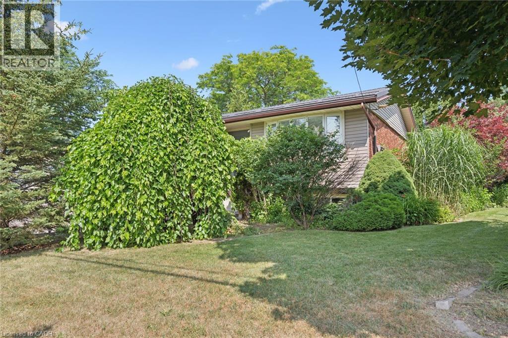 149 SCHWEITZER Street thumbnail 3