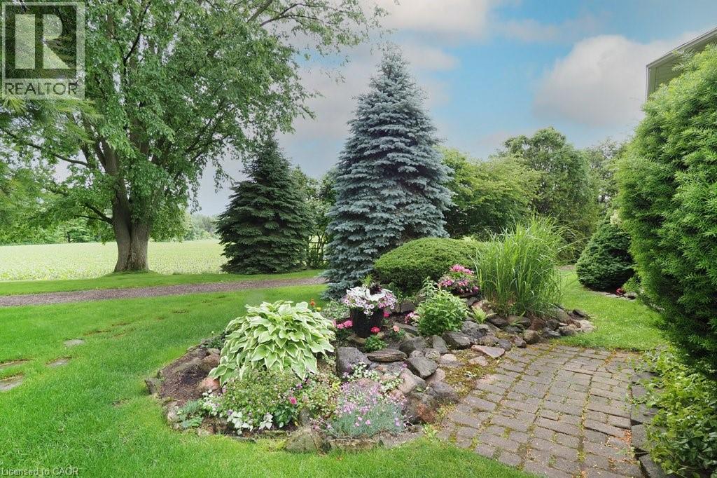 137 FOXBORO Drive thumbnail 34